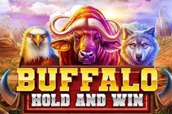 Buffalo Hold and Win